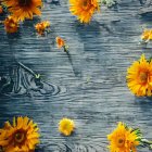 Colorful orange and yellow flowers on rippling water surface