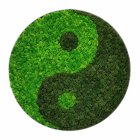 Circular Green Yin-Yang Symbol with Textured Patterns for Balance and Harmony