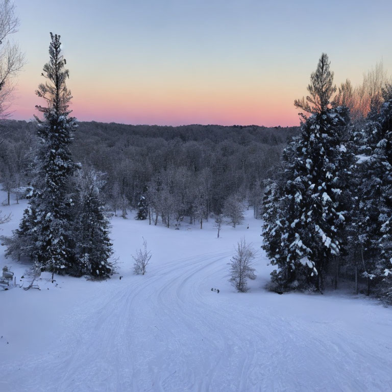 Winter scene: Snowy landscape with pink and blue dusk sky and winding trail