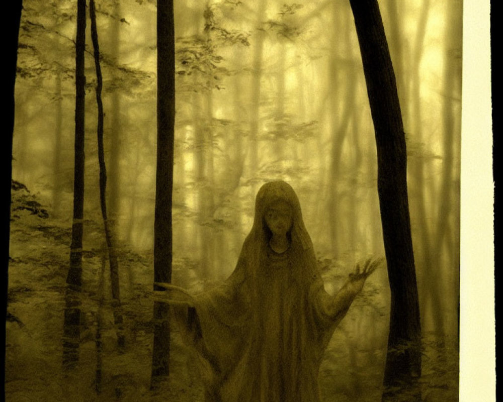 Ghostly Figure in Shroud Among Misty Trees in Haunted Forest