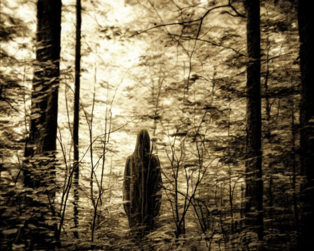 Sepia-Toned Image of Mysterious Figure in Ethereal Forest