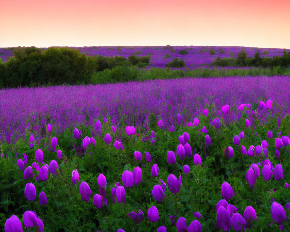 Serene Dusk Landscape with Purple Wildflowers, Green Trees, and Pink Sky