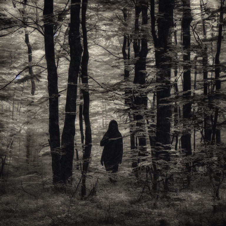 Mysterious Figure in Black Among Shadowy Trees