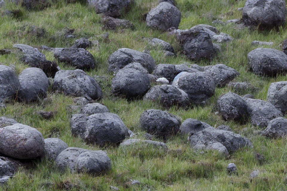 Rocky Field with Large Weathered Stones on Grass Terrain