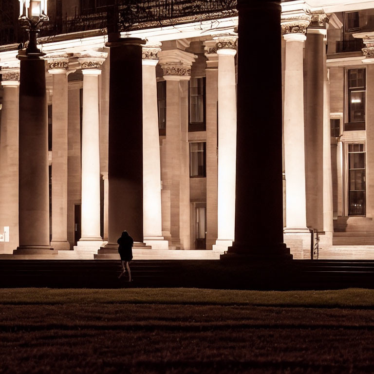 Solitary figure standing in front of illuminated grand building at night