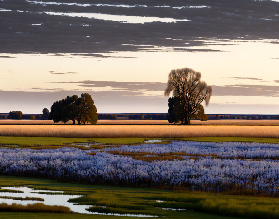 Tranquil dusk landscape with silhouetted trees, lavender field, and serene waterbody