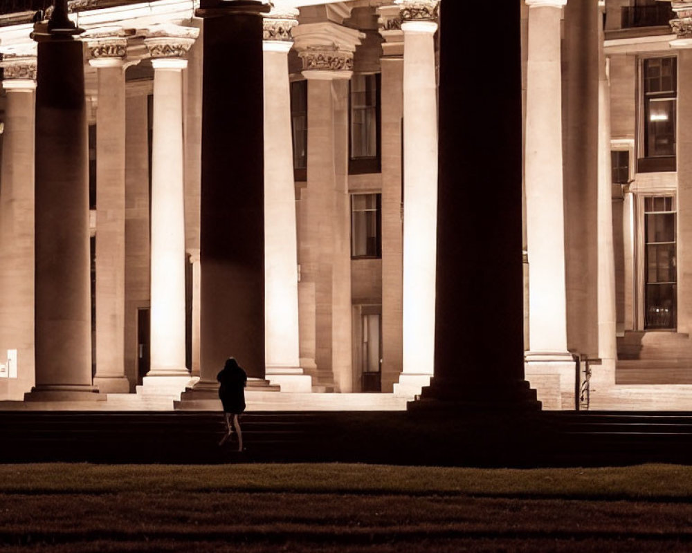 Solitary figure standing in front of illuminated grand building at night