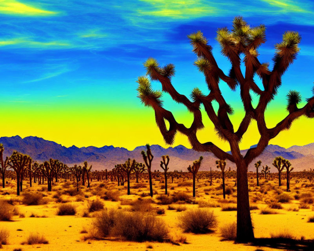 Vibrant desert landscape with Joshua trees under a blue sky.