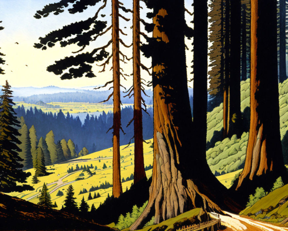 Sunlit forest clearing framed by pine trees and rolling hills.