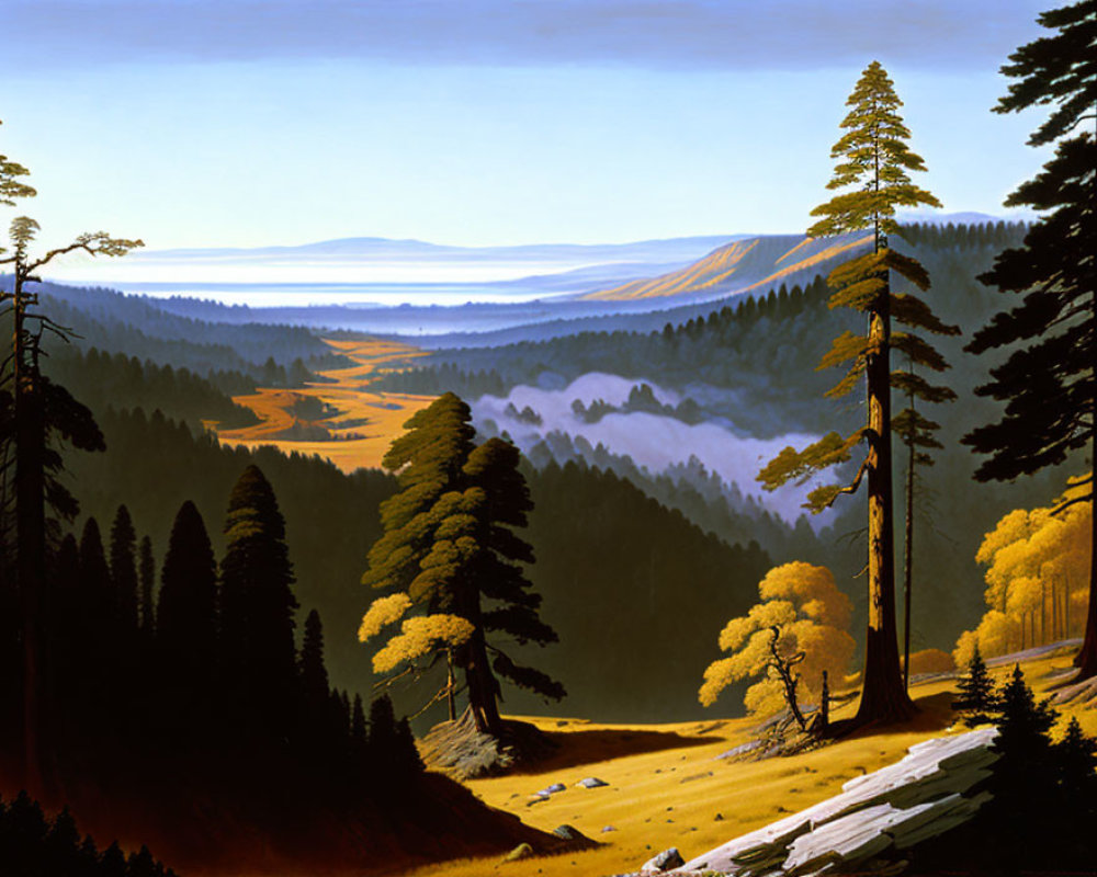 Tranquil forest landscape with misty valley and distant mountains