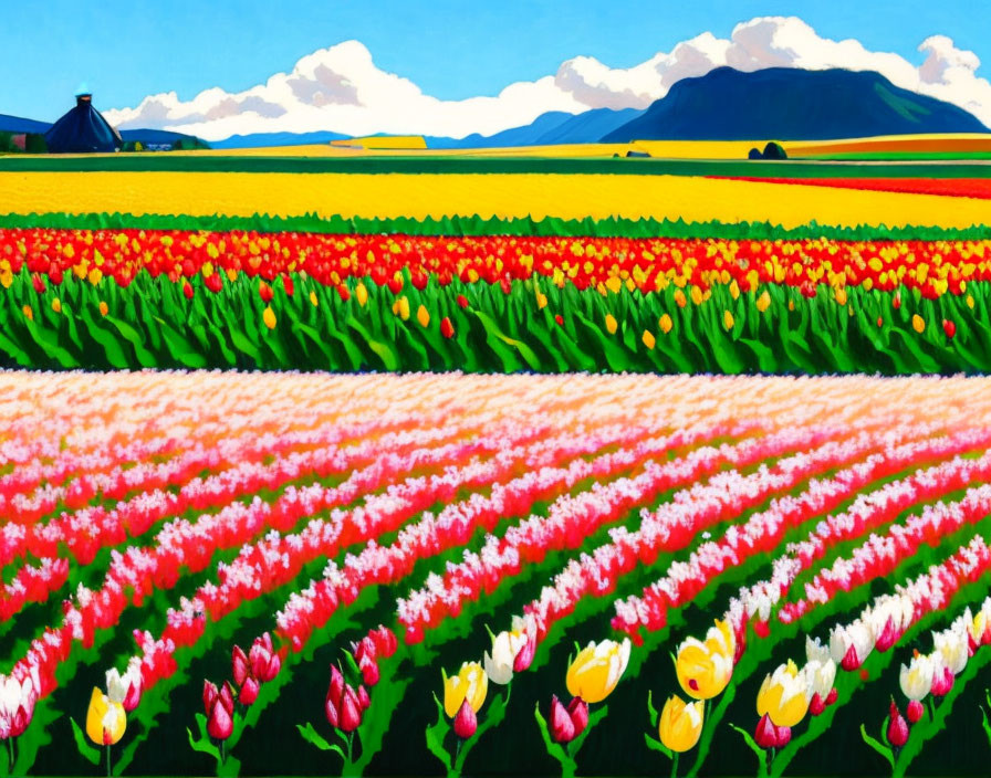 Vibrant Tulip Fields with Colorful Flowers, Blue Sky, and Mountains