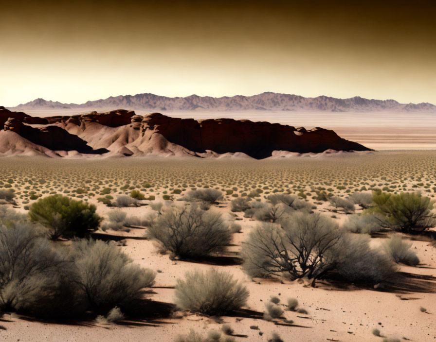 Sparse Vegetation and Sandy Desert Landscape with Distant Mountains