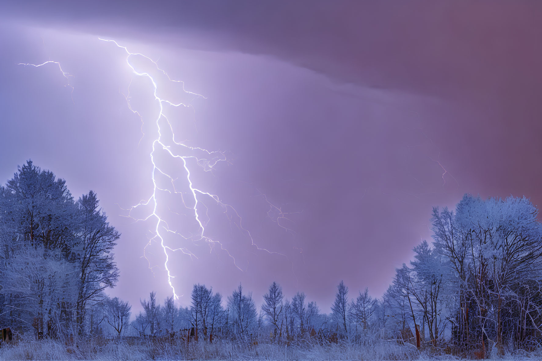 Wintry forest illuminated by dramatic lightning strike