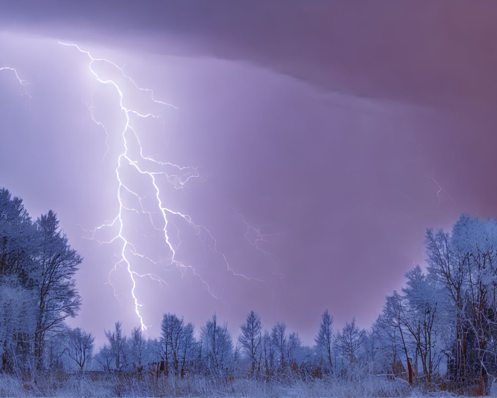 Wintry forest illuminated by dramatic lightning strike