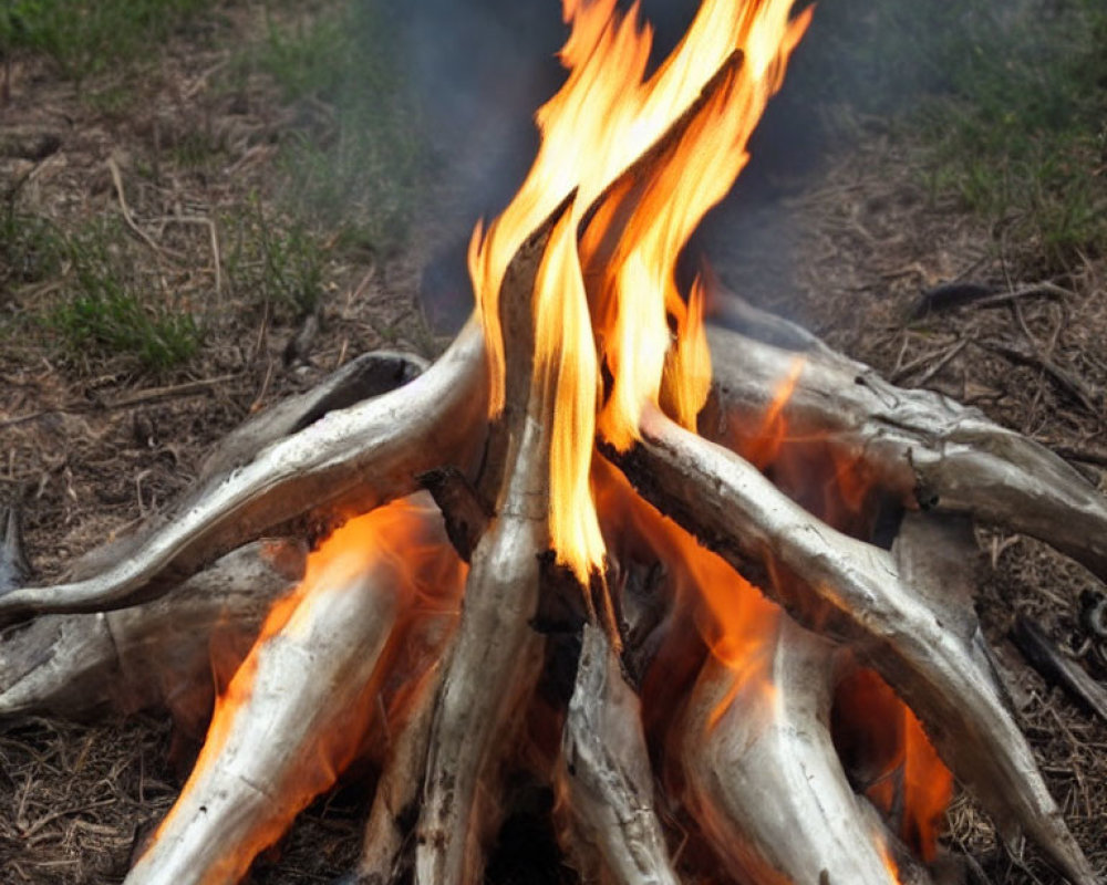Bright orange flames consuming wood on grassy bed
