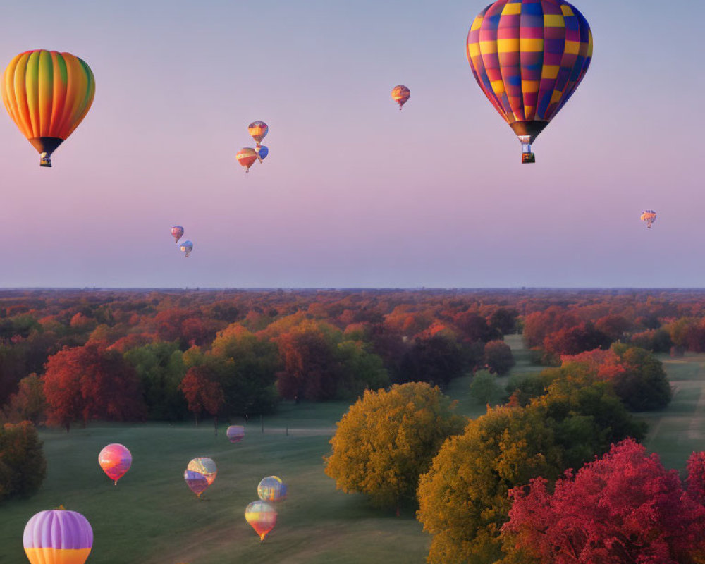 Vibrant hot air balloons over lush green and red landscape at sunset