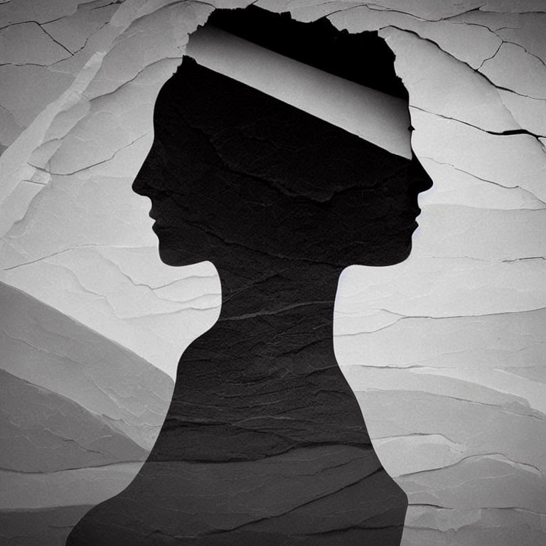 Profile Silhouette Optical Illusion on Cracked Grey Background