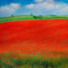 Colorful landscape painting of red poppy field under fluffy sky