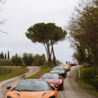 Vibrant orange sports car in rural setting with line of cars and unique tree