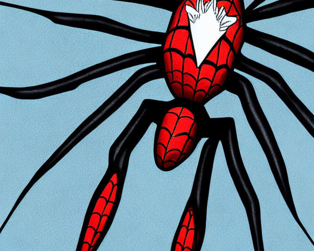 Red and Black Spider Illustration with Web-Like Pattern