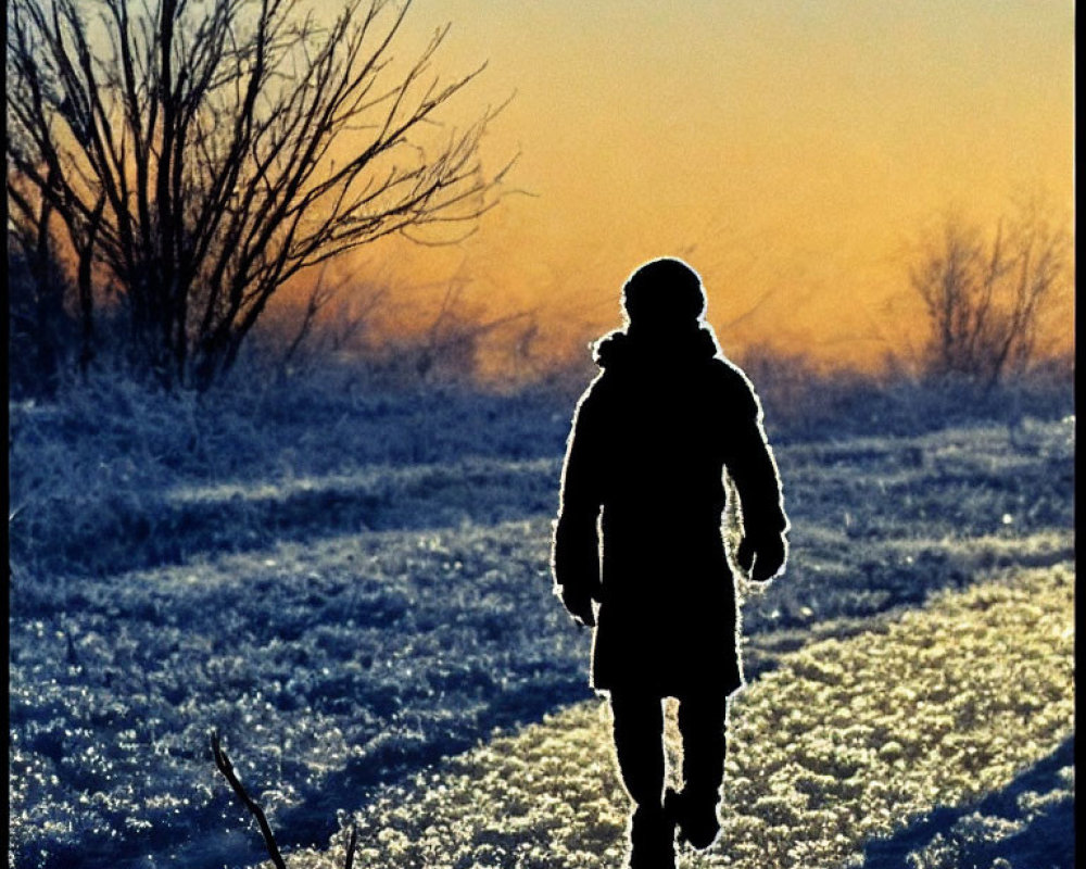 Person walking in frosted countryside at sunrise with long shadows