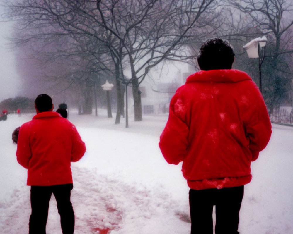 Two people in red jackets on snowy path with bare trees and fog