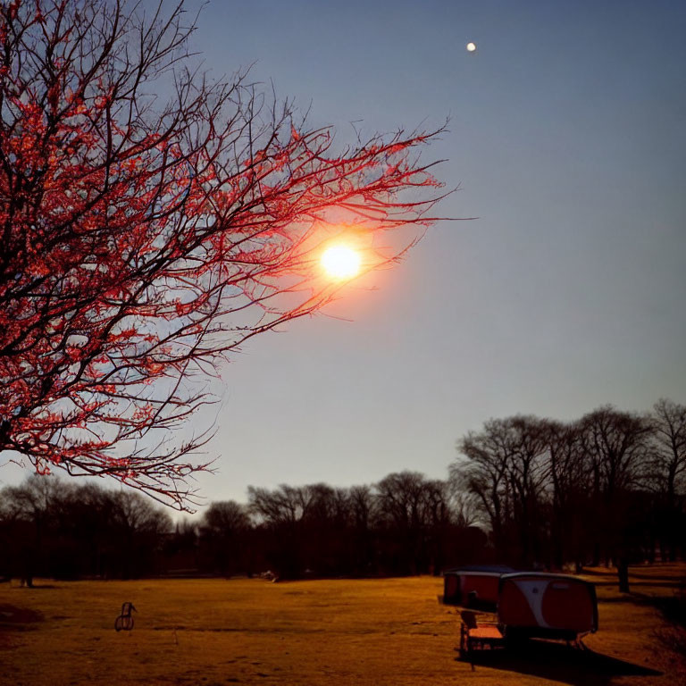 Tranquil sunset scene with tree, camper, and moon