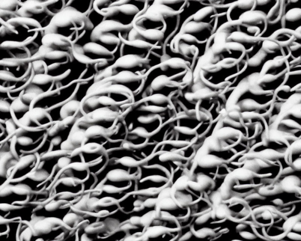 Monochrome Close-Up of Intertwined Chains or Organic Shapes Pattern