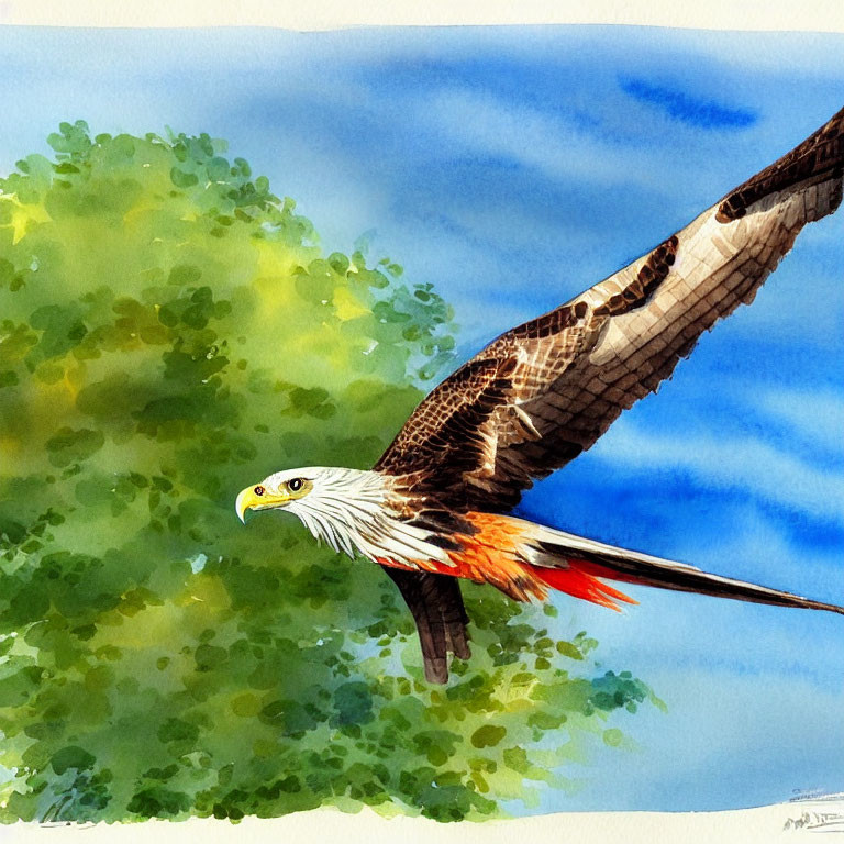 Majestic bald eagle in mid-flight against lush green foliage