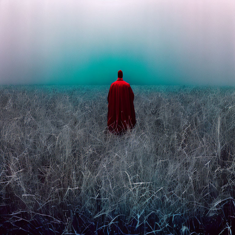 Mysterious figure in red cloak in vast grass field under gradient sky