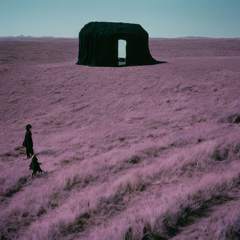 Person walking with dog towards dark tent in purple-tinted field