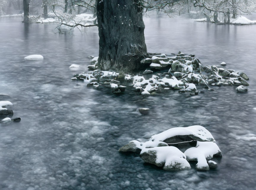Snow-covered tree by misty icy river with rocks in winter