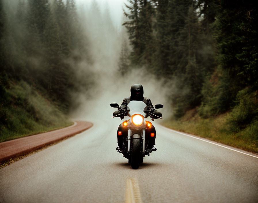 Misty forest road with motorcyclist riding, rear view
