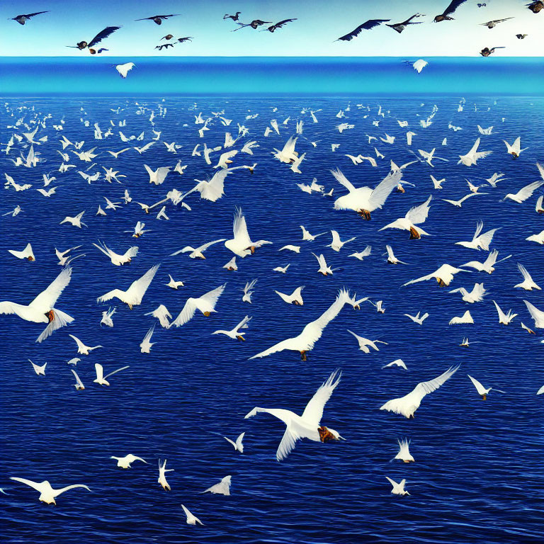 White Birds Flying Low Over Deep Blue Sea