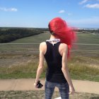 Pink-Haired Person on Hilltop Overlooking Green Landscape