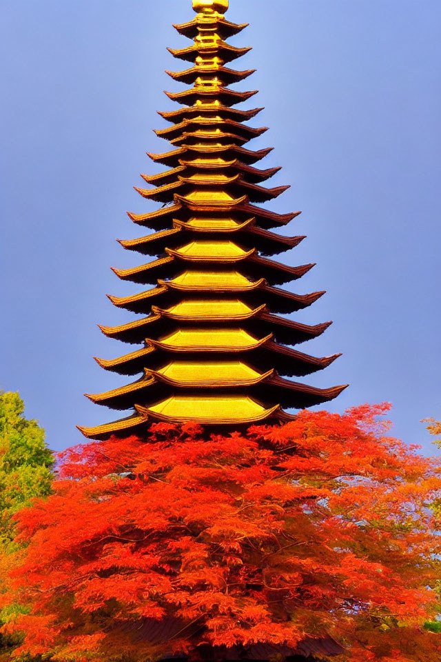 Japanese pagoda surrounded by red autumn leaves under clear blue sky