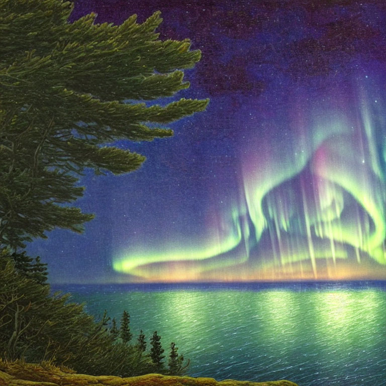 Northern Lights Over Tranquil Sea and Silhouetted Trees