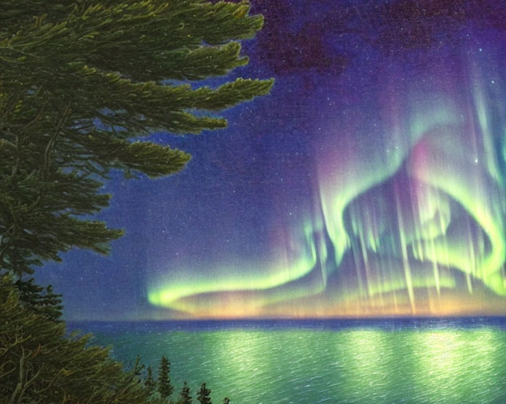 Northern Lights Over Tranquil Sea and Silhouetted Trees