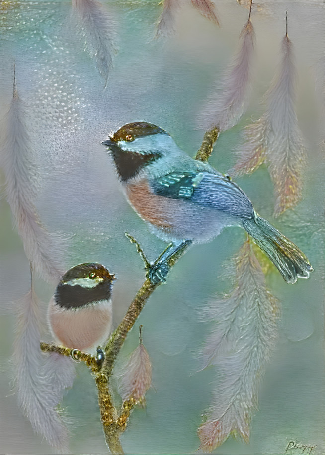 Chickadees in the Early Spring