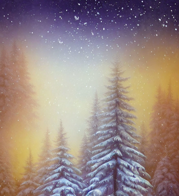 Starry Night Sky Over Snow-Covered Pine Trees