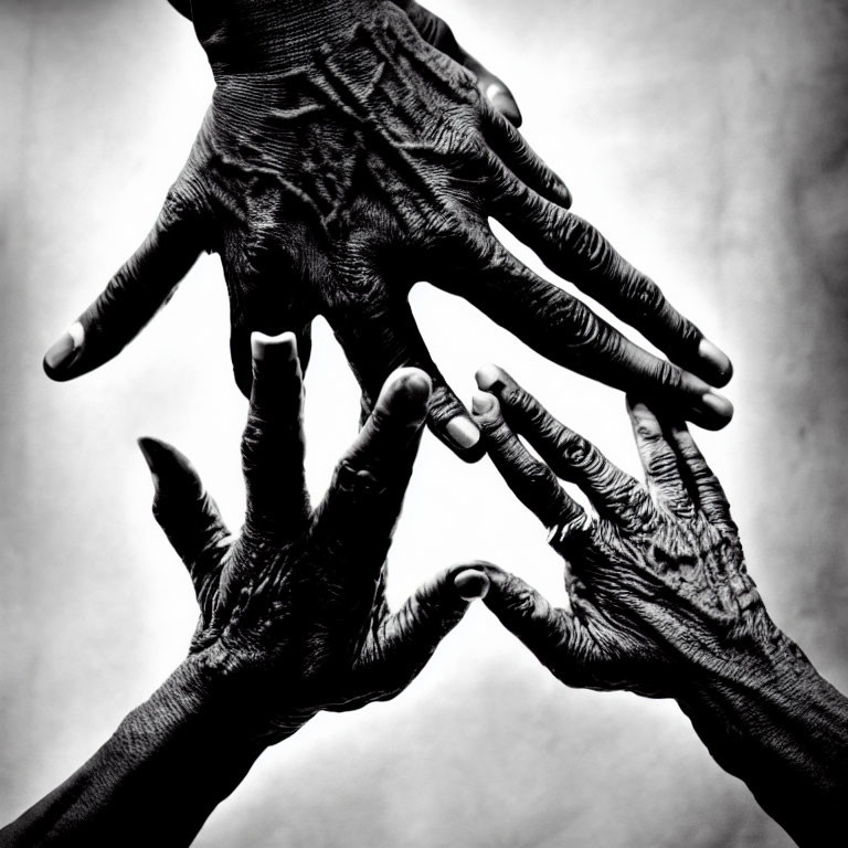 Aged Hands with Wrinkles and Veins in High-Contrast Black and White