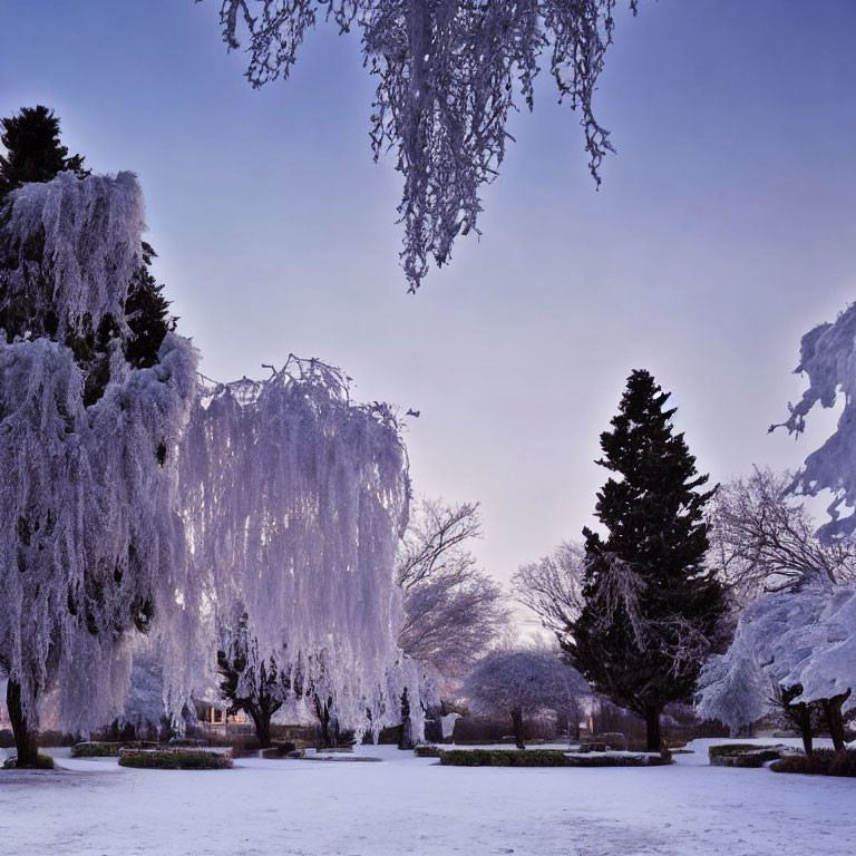 Snow-covered park with twilight hues of purple and blue.