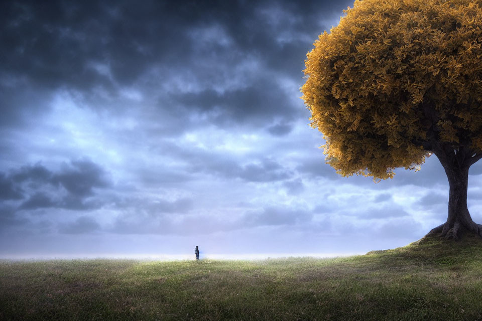 Solitary figure in vast field under dramatic sky near golden tree