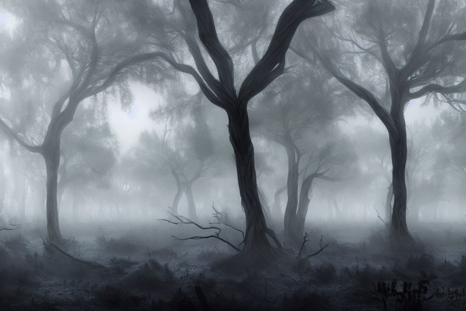 Eerie misty forest with twisted trees in dense fog