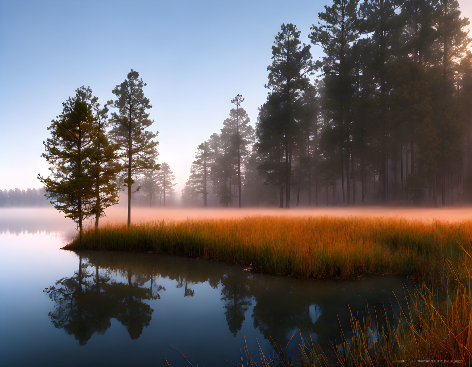 Tranquil Dawn Lake Reflecting Trees in Vibrant Meadow