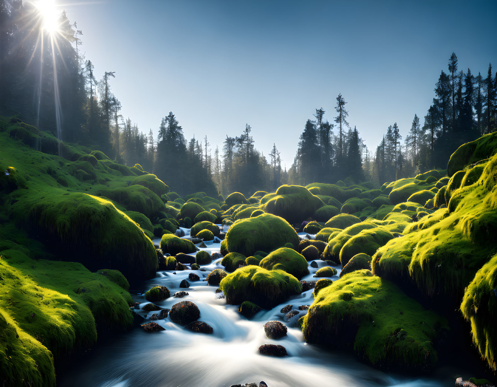 Tranquil woodland scene: Serene stream, moss-covered rocks, sunlit forest canopy