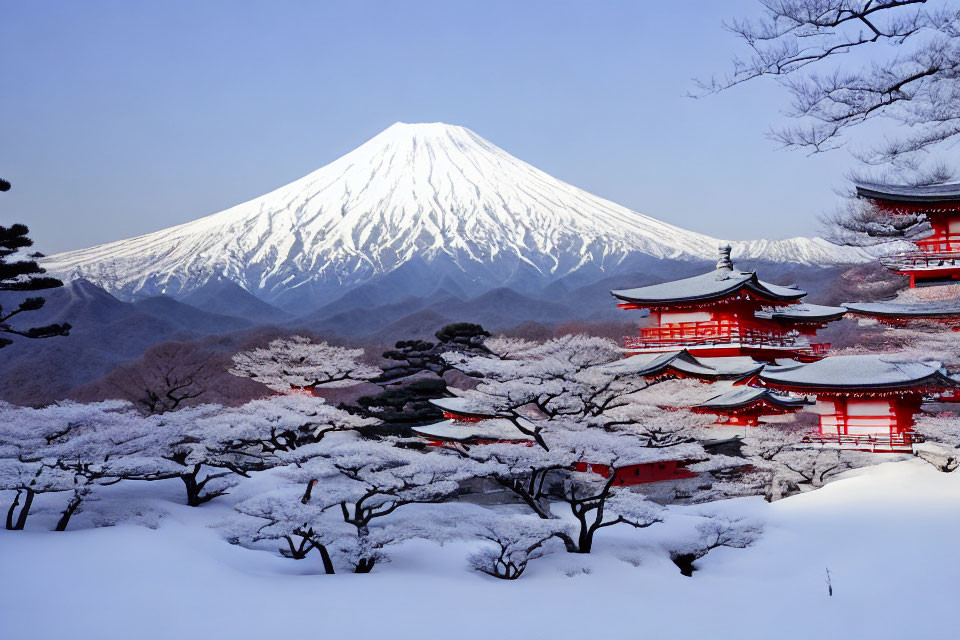 Scenic winter view: Mount Fuji, red pagoda, cherry blossoms
