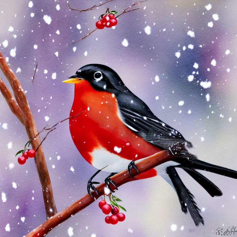 Colorful Robin Perched on Snowy Branch with Red Berries
