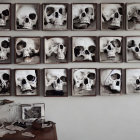 Skull Replicas Displayed Above Desk with Papers and Photo Frame