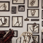 Framed skeletal remains displayed with assorted bones and red structure